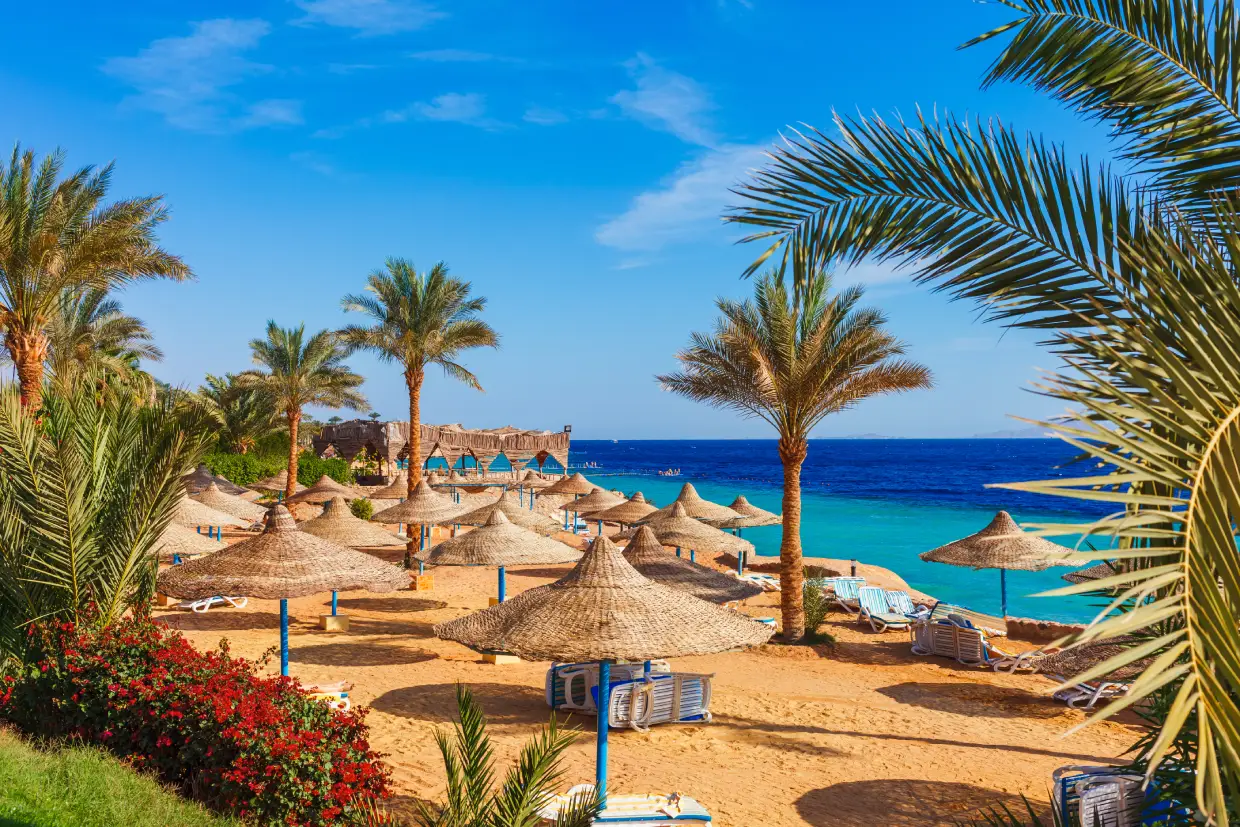 All Inclusive nyaralás Marsa Alamban ☀️